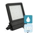 画像1: HIGHLITE Showtec Cedda 100W LED Floodlight（ショーテック Cedda 100W LED フラッドライト） (1)