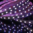 画像3: CIty Theatrical Eluxtra 5-in-1 RGB + 2400K + 6500K LED Strip Light, 24V, Indoor, Black Finish（Eluxtra 5-in-1 RGB + 2400K + 6500K LEDストリップライト 24V インドア 黒色ボディ） (3)