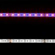 画像2: CIty Theatrical Eluxtra RGB LED Strip Light, 24V Indoor（Eluxtra RGB LEDストリップライト, 24V インドア） (2)