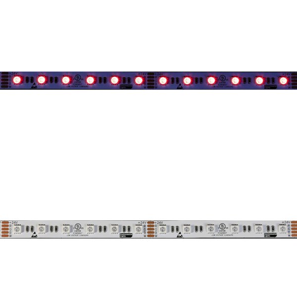 画像1: CIty Theatrical Eluxtra 4-in-1 LED Strip Light, 24V, Indoor, RGB + Indigo（Eluxtra 4-in-1 LEDストリップライト 24V インドア RGB + インディゴ） (1)