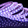 画像5: CIty Theatrical Eluxtra 5-in-1 RGB + 2400K + 6500K LED Strip Light, 24V, Outdoor, White Finish（Eluxtra 5-in-1 RGB + 2400K + 6500K LEDストリップライト 24V アウトドア 白色ボディ） (5)