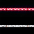 画像2: CIty Theatrical Eluxtra RGB LED Strip Light, 24V Outdoor/Waterproof（Eluxtra RGB LEDストリップライト, 24V アウトドア／ウォータープルーフ） (2)