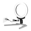 画像4: NANLITE Halo 10B Dimmable Bicolor USB 10in LED Ring Light With Smart Touch Control（ナンライト ハロ） (4)