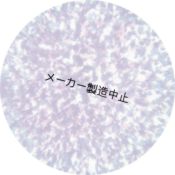 画像1: 55004 Stippled - Blue Lavender (1)